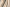 color-curtain-close-2