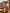 Privathaus in Braine L Alleud 7